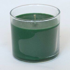 BATH AND BODY WORKS Evergreen Candle Single Wick Brand New